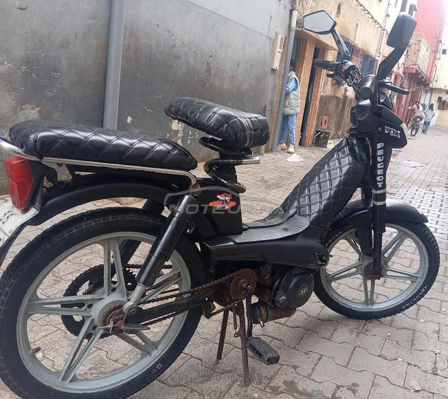 peugeot fox