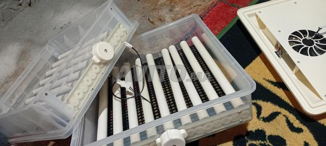 الحاجب شارع الكبير  - 2