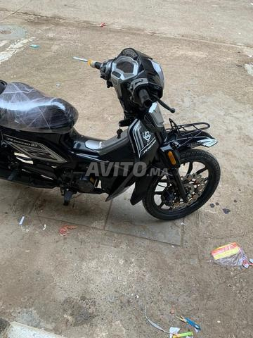 عين حرودة الشلالات - 2