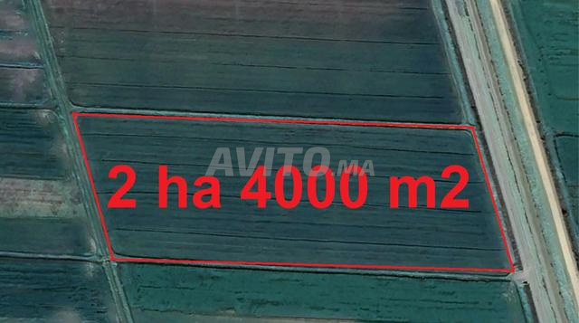 أراضٍ محفظة جاهزة للبناء بإطلالة بحرية مميزة - 2