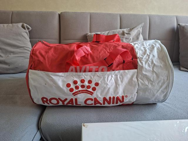 Accessoires Animaux de Marque - 2