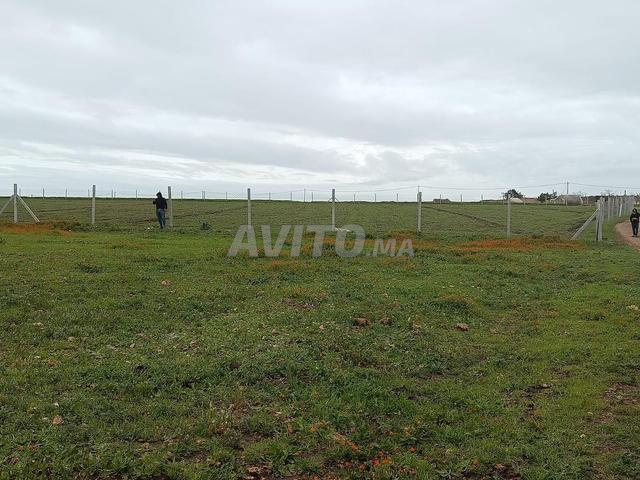 هكتار وأكثر بثمن مناسب - 2