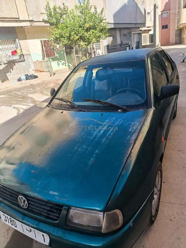 golf polo classiq mazot model 2000