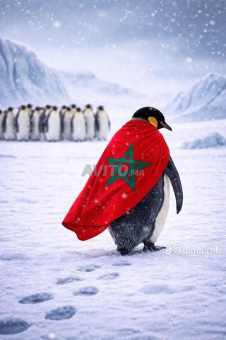 نادل باريستا