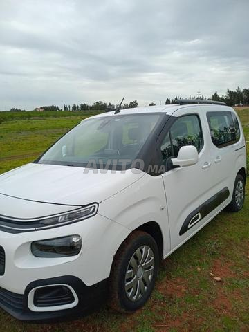 سيتروين بيرلينجو