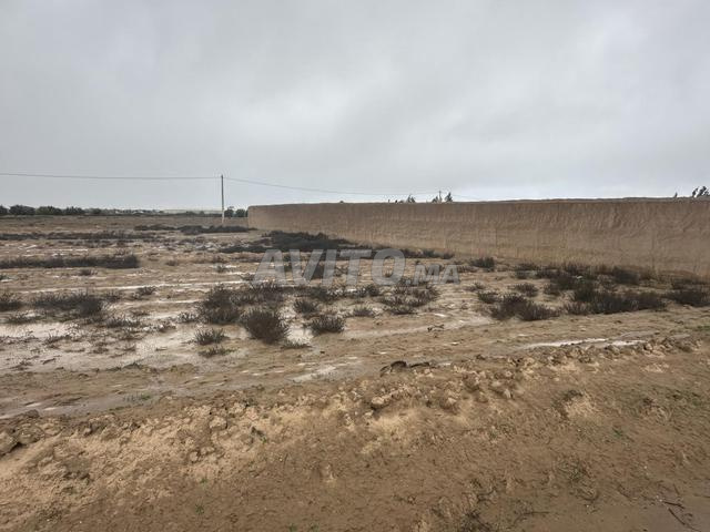 Terrain apte à la construction et à l'habitation, proche de toutes commodités