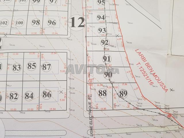 تجزئة معمورة للفلل القطعة رقم 91