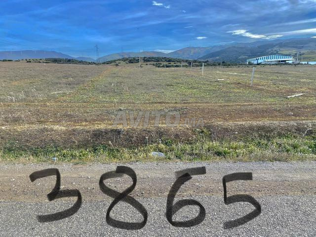 أرض للبيع طريق طنجة تطوان - 2