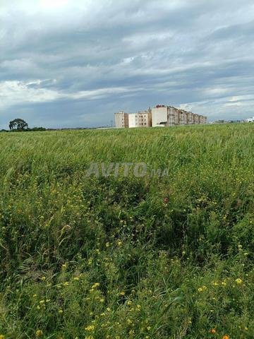 أرض 37500 متر للبيع قرب مرجان الجديدة