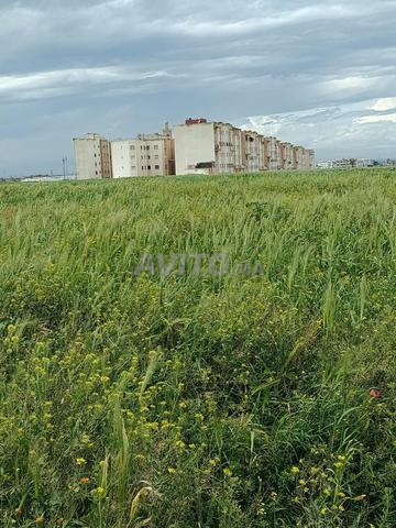 أرض 37500 متر للبيع قرب مرجان الجديدة - 2