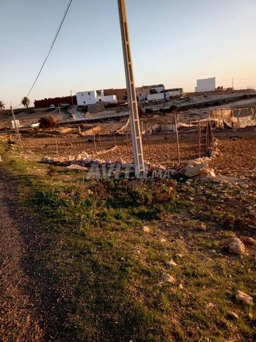 آيت احمد تاغازوت - 2