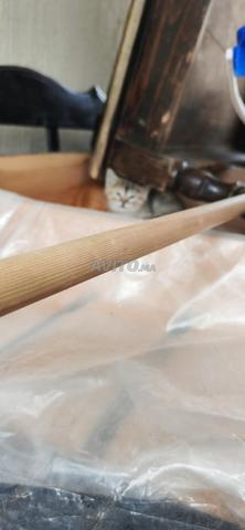 😺 قطط للبيع - 2