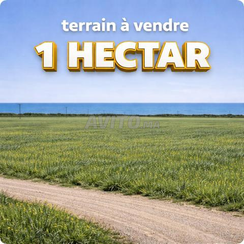 1 هكتار مطلة على البحر في بير جديد