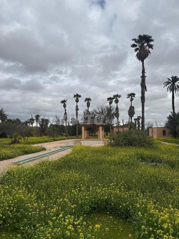 أرض في واحة النخيل مراكش - 2