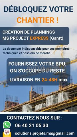 خبير تخطيط MS Project BTP - التسليم في 48 ساعة