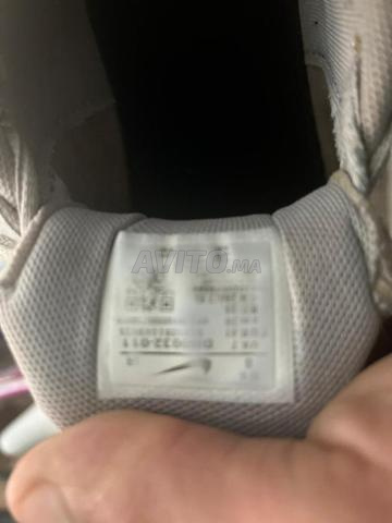 حنشة أصلية جيدة جدا - 2