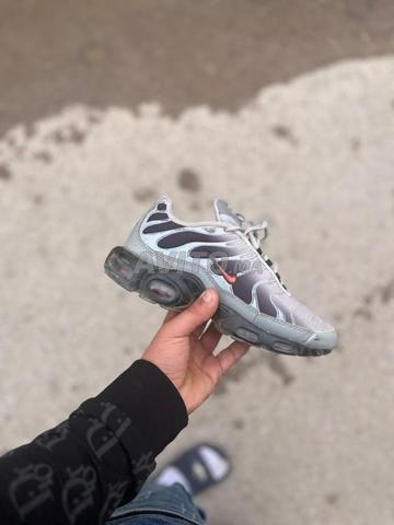 حنشة أصلية جيدة جدا