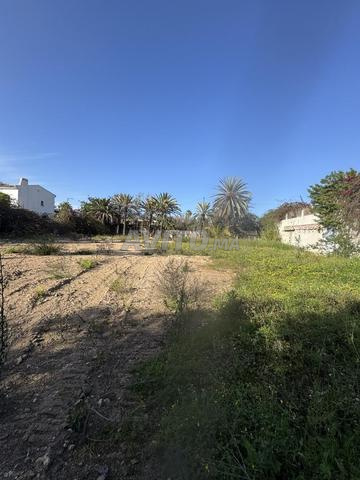 أرض كينيدي - 2