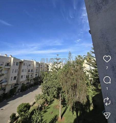 Très bien localisé Californie CFC - 2