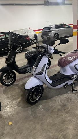 شركة لتأجير الدراجات النارية - 2