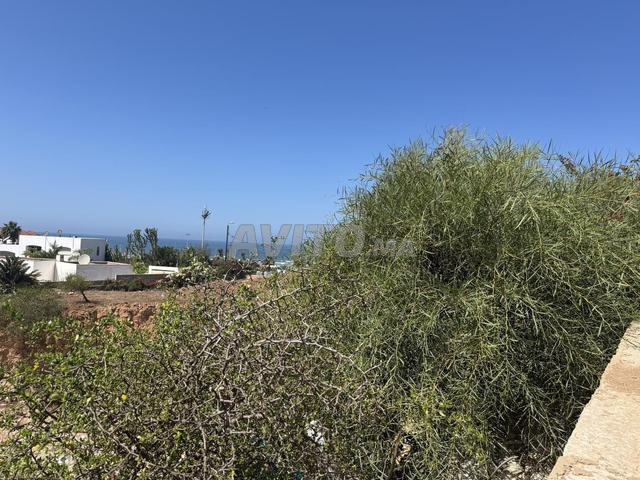 أرض عين الدياب - 2