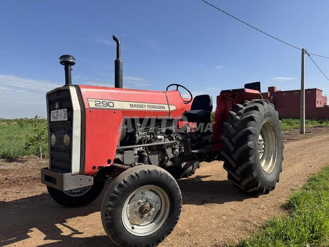 Massey ferguson 290