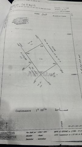 بقع أرضية للبيع الفقيه بن صالح - 2
