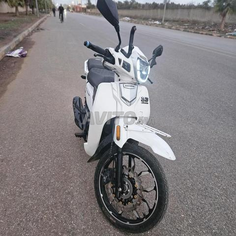 Bicane 33 2024/07 - 2