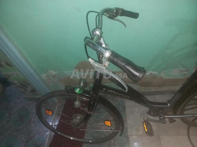 دراجة من نوع السيدة - 2