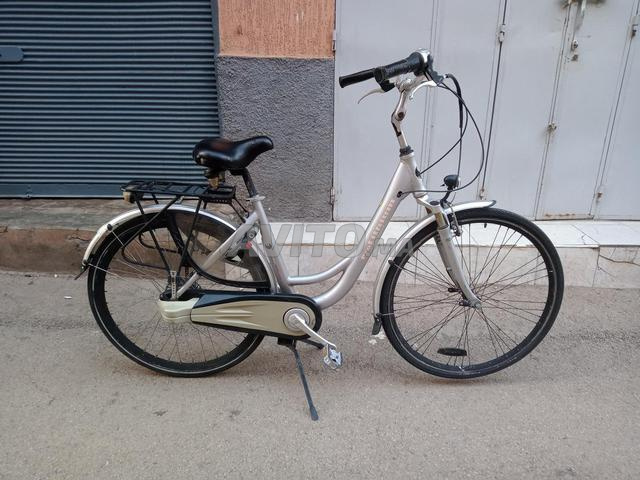 دراجة هولندية - 2