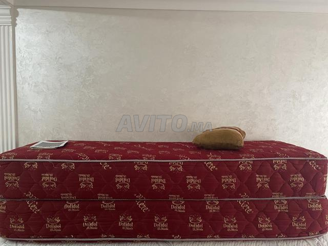 DOLIDOL سدادر بونج - 2