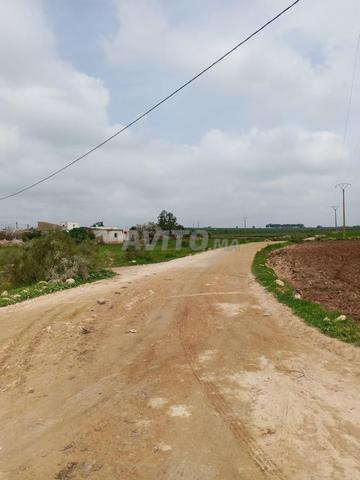 أرض للبيع محفظة مقادة تتر فونصي نوطير - 2