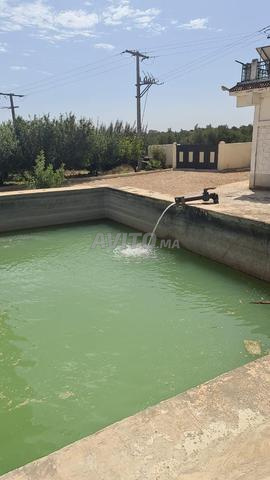 أرض فلاحية للبيع أرض فلاحية للبيع - 2