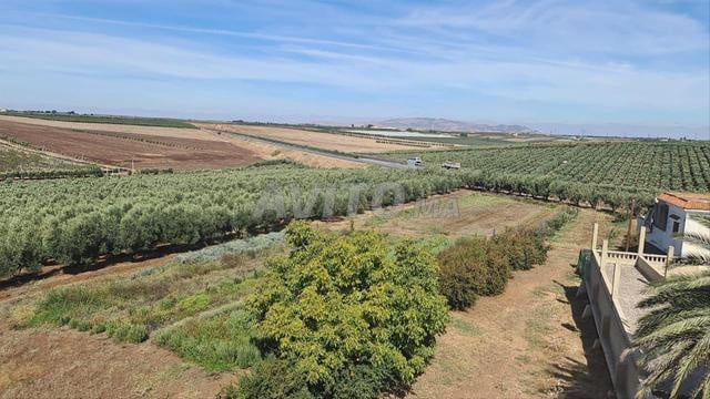 أرض فلاحية للبيع أرض فلاحية للبيع