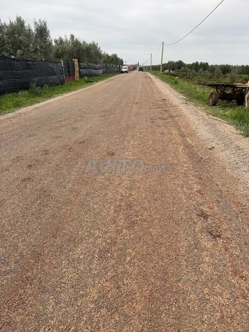 1 hectare Avnedre - 2