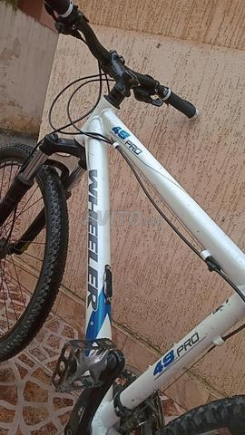 دراجة هوائية WHEELER أصلية - 2