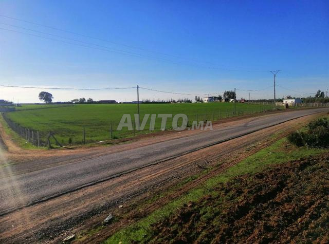 Terrains agricoles Sidi Yahya Zaers - 2
