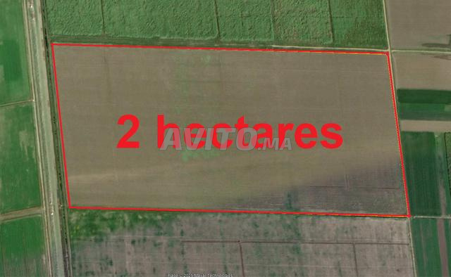 أراضٍ محفظة بمنطقة البئر الجديد للسكن والاستثمار - 2