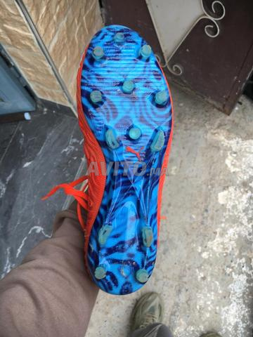 كوداس بوما - 2