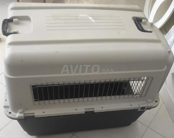 Cage de transport pour chien