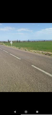 أرض مساحتها هكتار واحد بالقرب من المطار - 2