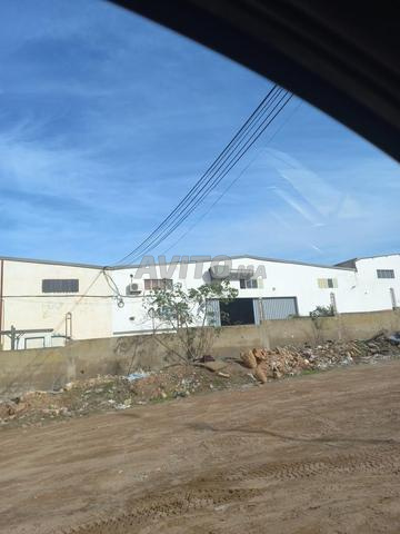 أرض عارية للبيع في المنطقة الصناعية لساسفة - 2