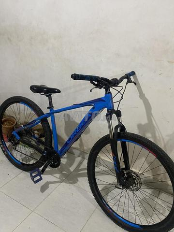 دراجة جبلية 29