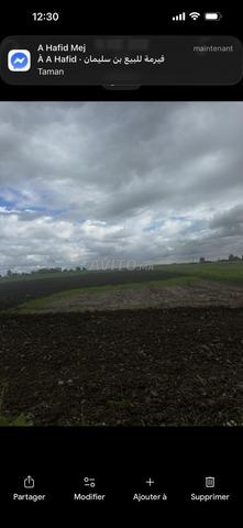 أرض للبيع نواحي بن سليمان - 2