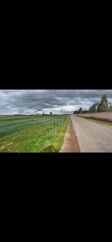 ✨ Offre exceptionnelle terrain à vendre 1 hectare et 7500 mètres carrés