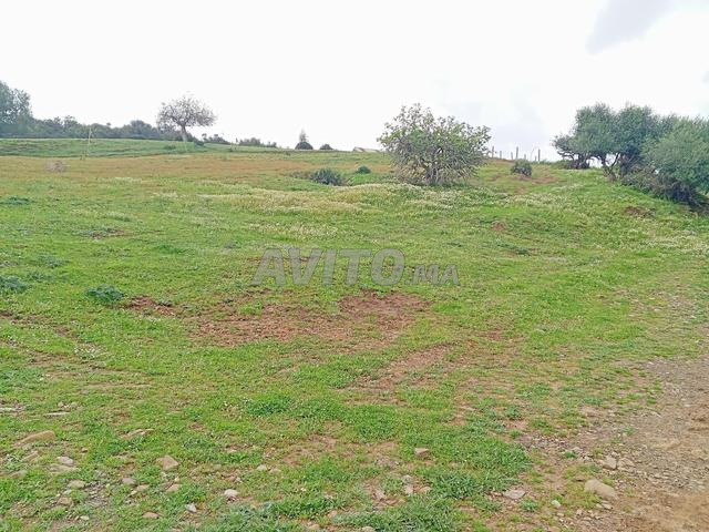 Opportunité immobilière - 2