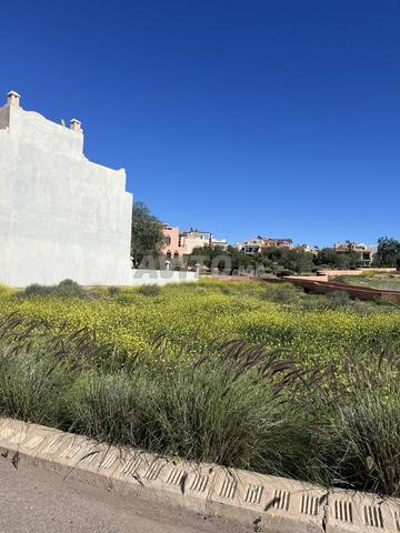 Terrain, Marrakech, sidi brahim, palmeraie - 2