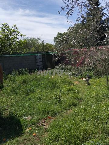 Maison adoulique à vendre had gharbia - 2