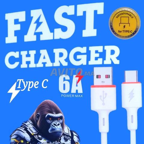 Type C / Câble Charge Rapide pour iPhone/Samsung