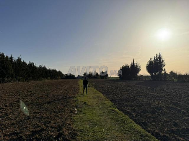 Terrain à vendre à Belksiri - 2